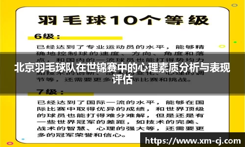北京羽毛球队在世锦赛中的心理素质分析与表现评估
