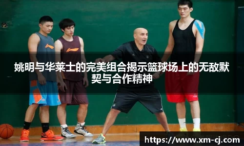姚明与华莱士的完美组合揭示篮球场上的无敌默契与合作精神