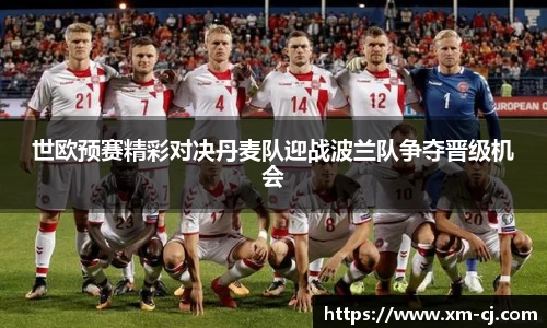 世欧预赛精彩对决丹麦队迎战波兰队争夺晋级机会